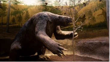 Ice Age Gallery returns at Cincinnati Museum Center July 1 - Cincinnati ...