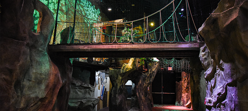 Image of The Woods in The Children's Museum